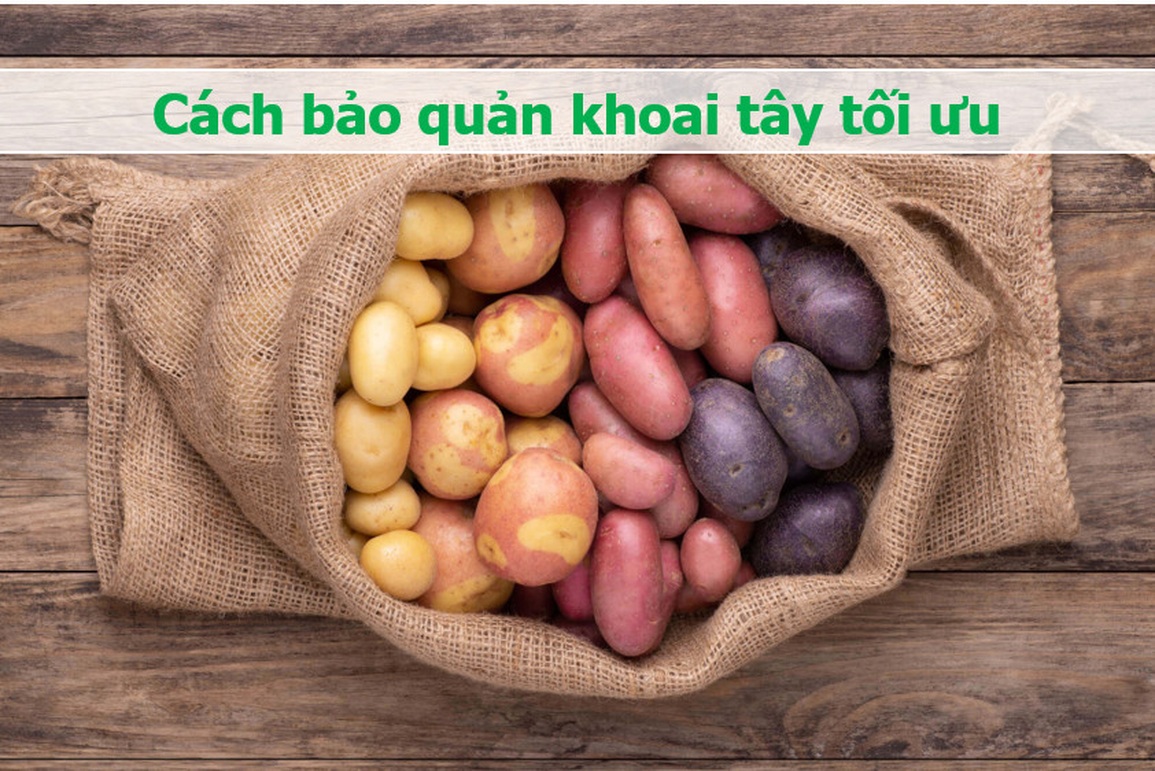 Khoai tây có màu này cần bỏ ngay vì có độc - 2 Khoai tây có màu này cần bỏ ngay vì có độc - 2