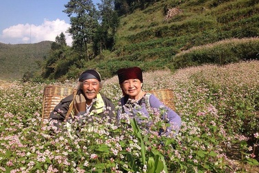 Cặp vợ chồng "phượt thủ" U70 gây "choáng" khi xuyên Việt bằng xe máy