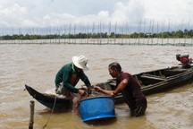 Đại diện Ngân hàng thế giới đưa ra nhiều thách thức ĐBSCL phải đối mặt