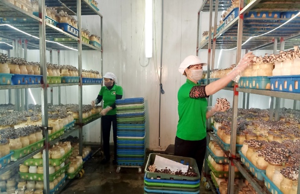 Ngành nông nghiệp Vĩnh Phúc đẩy mạnh chuyển đổi số - 1 Ngành nông nghiệp Vĩnh Phúc đẩy mạnh chuyển đổi số - 1
