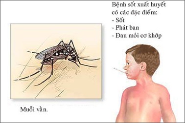 Đã có 3 trường hợp tử vong vì sốt xuất huyết