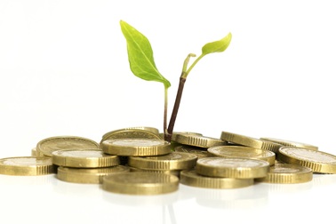 Bí quyết dấn thân vào lĩnh vực chưa từng biết gì