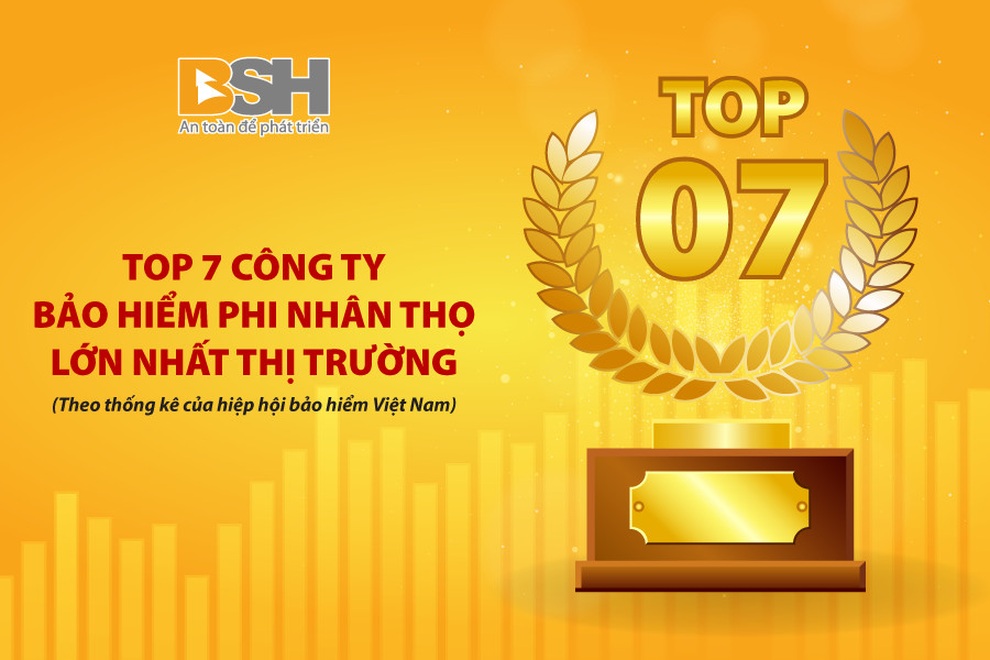 Ngành bảo hiểm phi nhân thọ Việt Nam thực hiện hiệu quả mục tiêu kép - 1 Ngành bảo hiểm phi nhân thọ Việt Nam thực hiện hiệu quả mục tiêu kép - 1