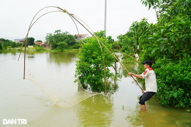 Nghề tranh thủ "hốt bạc" sau mưa lớn