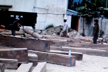 Cạy container tráo gỗ quý bằng cát để xuất khẩu