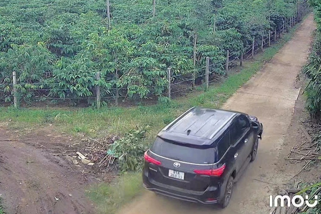 Tài xế tông chết người rồi lái ô tô bỏ trốn trong rẫy cà phê - 2 Tài xế tông chết người rồi lái ô tô bỏ trốn trong rẫy cà phê - 2