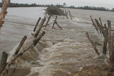 Đê vỡ liên tiếp, nhiều tài sản bị nước nhấn chìm