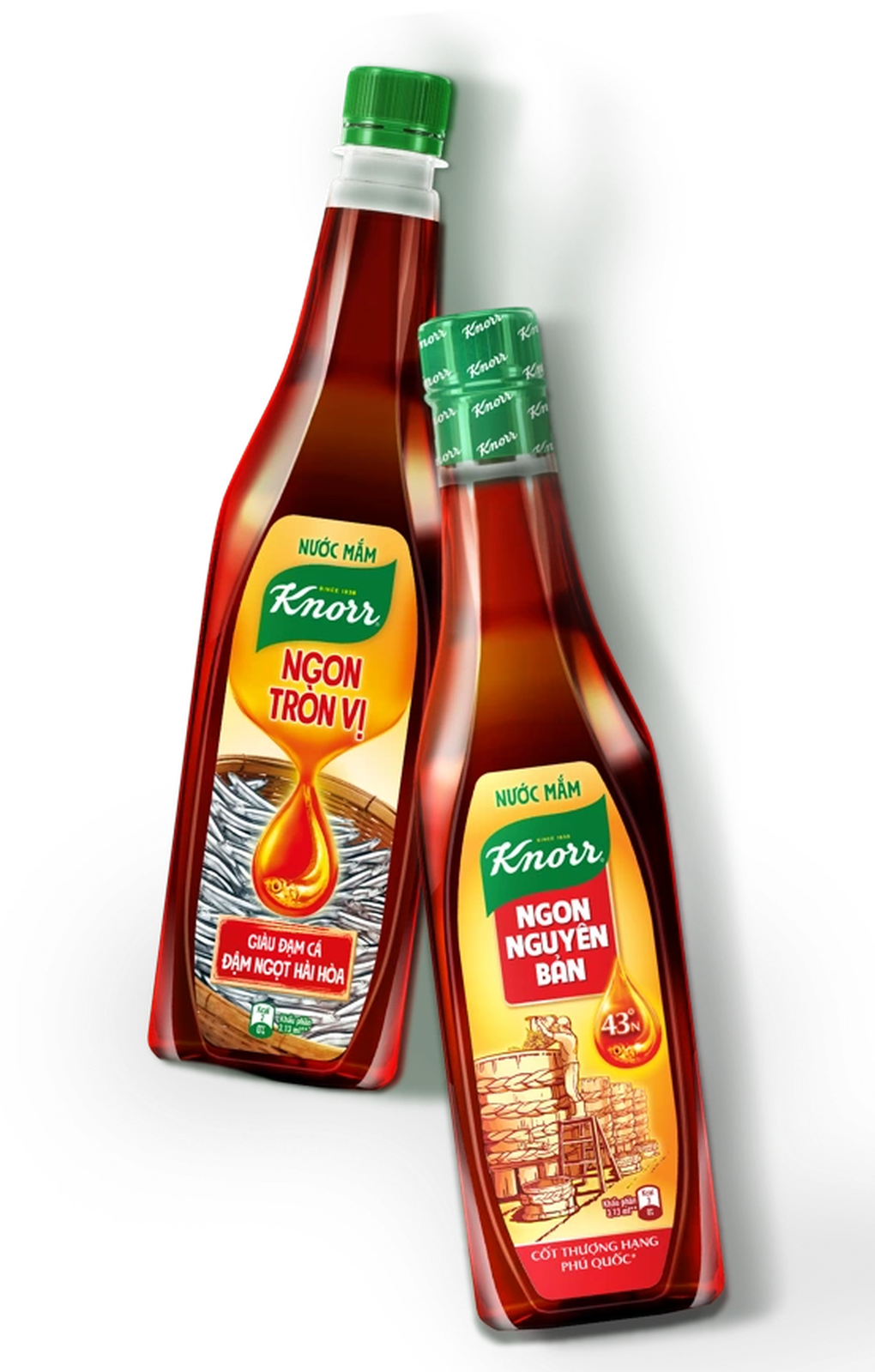 Nước mắm Knorr: Hành trình từ biển khơi đến bữa ăn gia đình Việt - 4 Nước mắm Knorr: Hành trình từ biển khơi đến bữa ăn gia đình Việt - 4