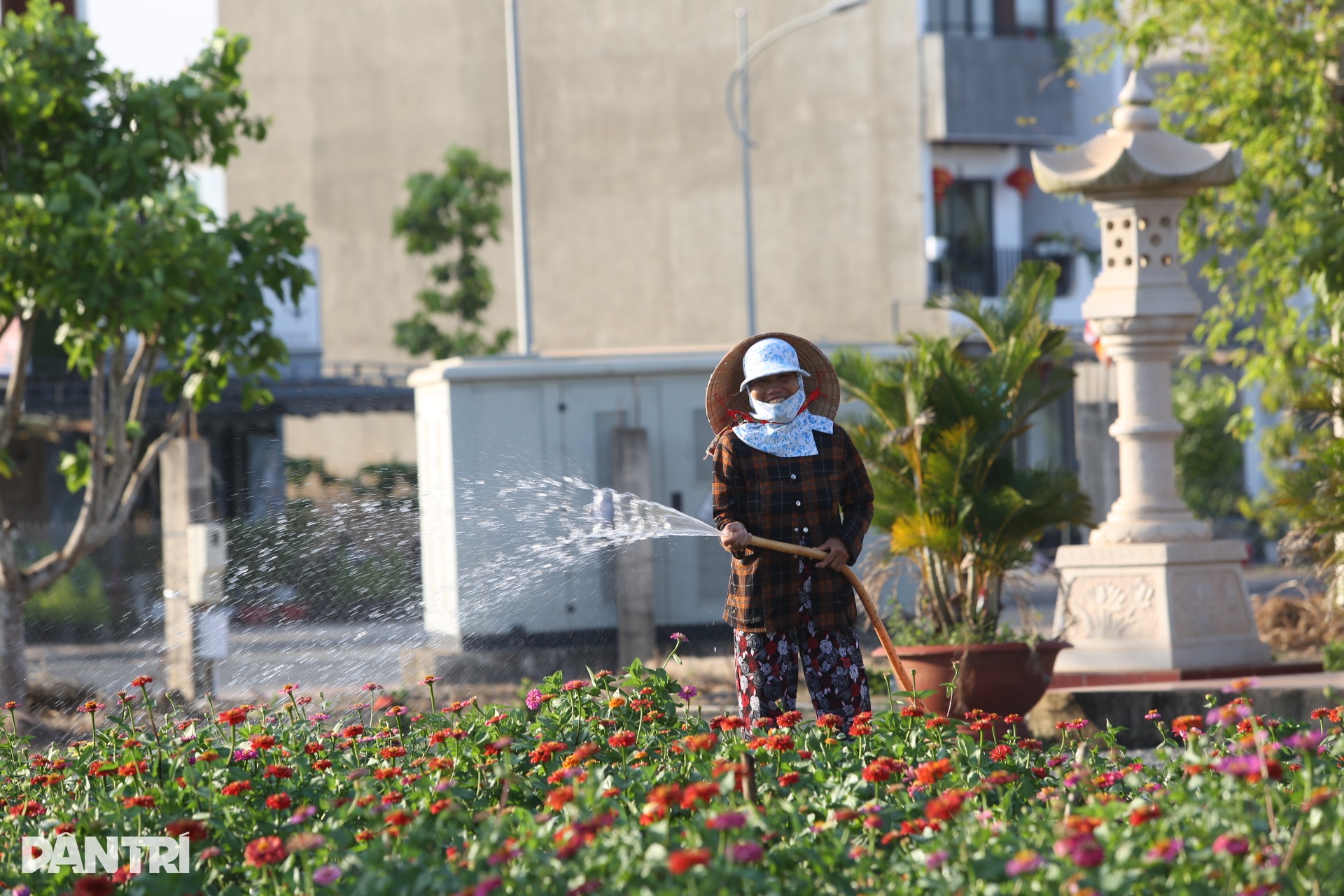 Người dân khu tái định cư sân bay Long Thành rộn ràng chuẩn bị Tết - 7 Người dân khu tái định cư sân bay Long Thành rộn ràng chuẩn bị Tết - 7