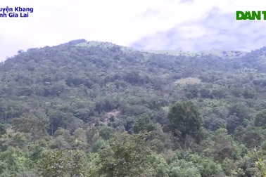 Mùa xoay rừng trên Cao Nguyên