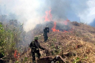 Nổ mìn, 50 ha rừng keo chìm trong biển lửa