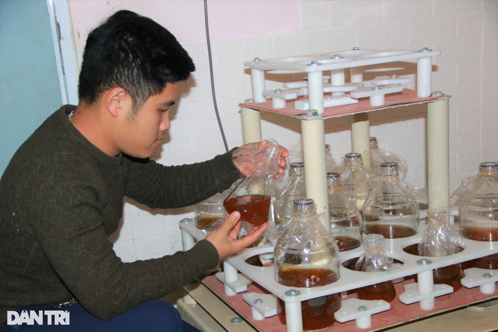 Trồng nấm tiến Vua, bán rẻ như cho, 9X vẫn thu tiền tỷ mỗi năm - 2 Trồng nấm tiến Vua, bán rẻ như cho, 9X vẫn thu tiền tỷ mỗi năm - 2