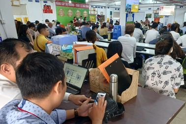 Môi giới đăng tin sai sự thật, dựng chuyện có phạm luật?