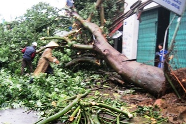 Hình ảnh tan hoang, ngập lụt sau cơn bão số 6