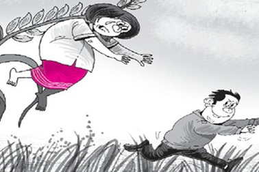 “Săn lúa rẫy”