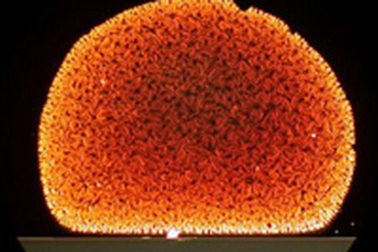 10 bức ảnh đáng xem nhất năm 2008 