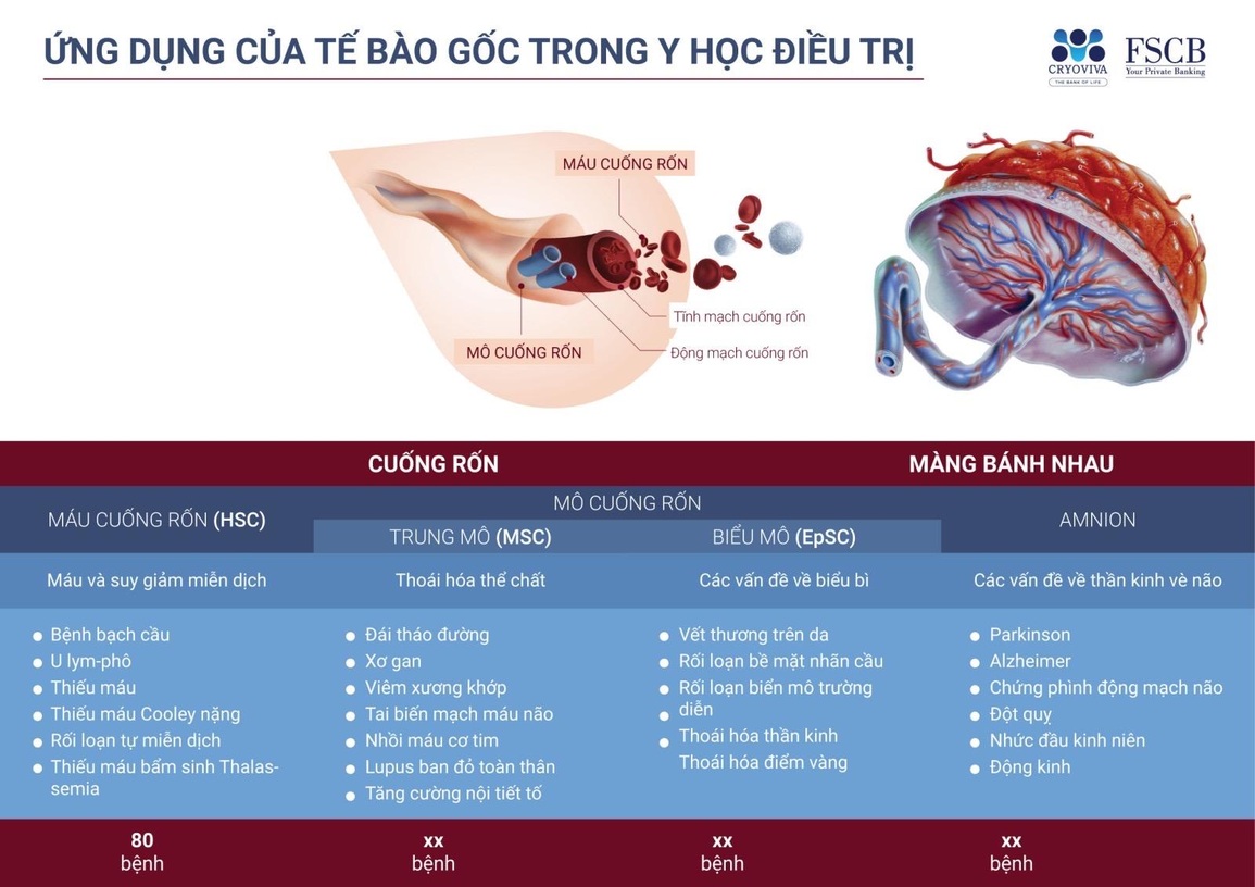 Ngân hàng Mô quốc tế được Bộ Y tế cấp phép hoạt động - 2 Ngân hàng Mô quốc tế được Bộ Y tế cấp phép hoạt động - 2
