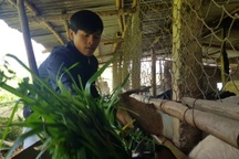 Đào tạo nghề cho lao động miền núi: Nhiều nghề mới mang lại thu nhập cao