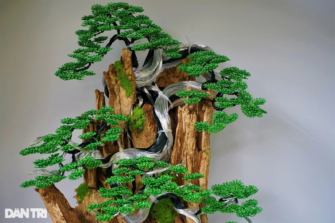 Bỏ việc nghìn đô la, kỹ sư về làm bonsai bất tử bán cho đại gia - 12 Bỏ việc nghìn đô la, kỹ sư về làm bonsai bất tử bán cho đại gia - 12