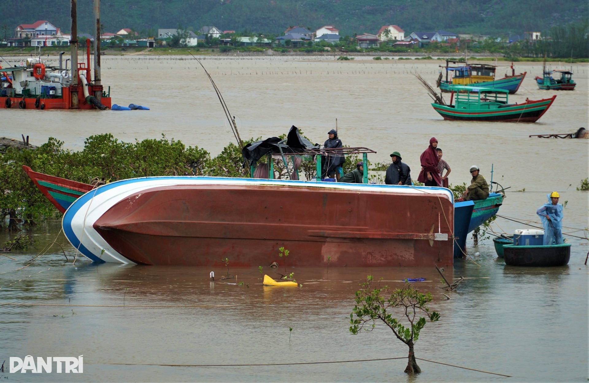 Hàng loạt tàu thuyền của ngư dân bị bão Kajiki nhấn chìm, đánh tan nát - 3 Hàng loạt tàu thuyền của ngư dân bị bão Kajiki nhấn chìm, đánh tan nát - 3