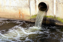 Xả thải không đạt chuẩn, một doanh nghiệp bị phạt 256 triệu đồng