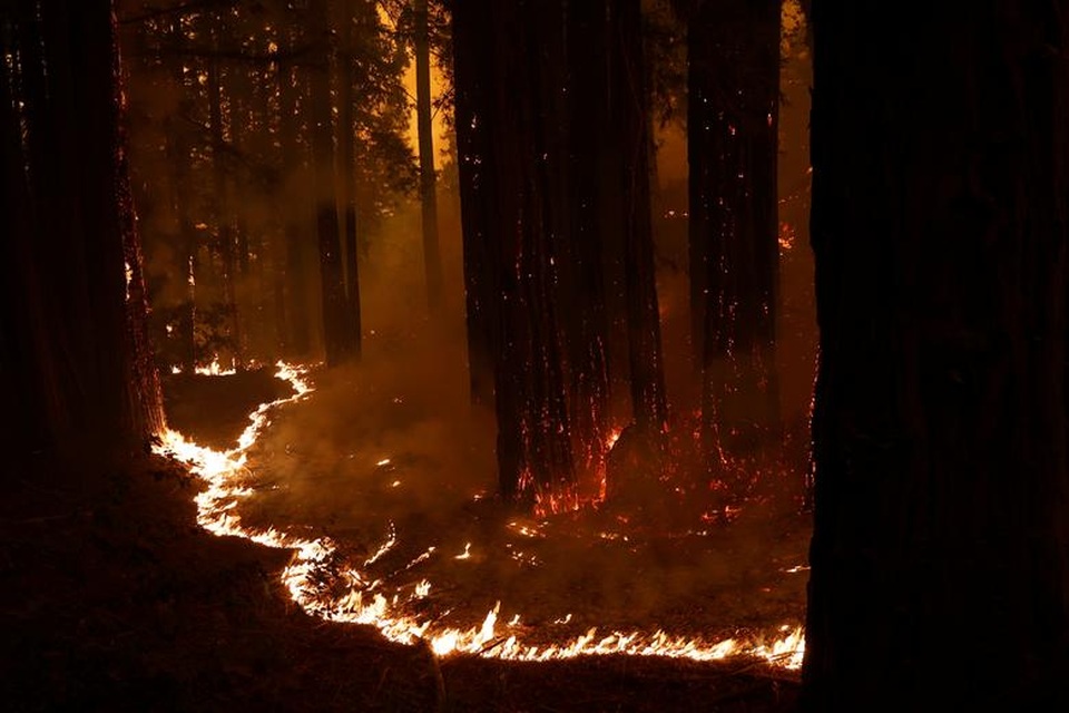 650 đám cháy rừng càn quét bang California, 7 người chết - 14 650 đám cháy rừng càn quét bang California, 7 người chết - 14