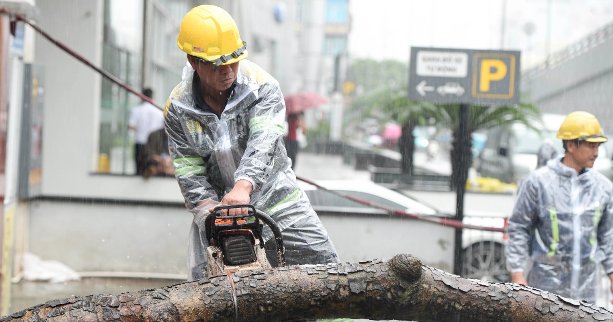 Lực lượng tinh nhuệ TPHCM đội mưa tầm tã dọn dẹp cây xanh tại Hà Nội - 9