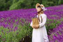 Bỏ phố về quê làm vườn, cô gái "vô danh" bỗng trở nên nổi tiếng