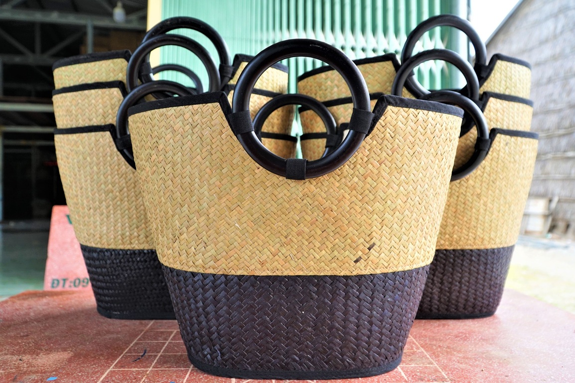 Đưa cỏ bàng nơi rốn phèn xuất ngoại, bỏ túi nửa tỷ đồng mỗi năm - 3