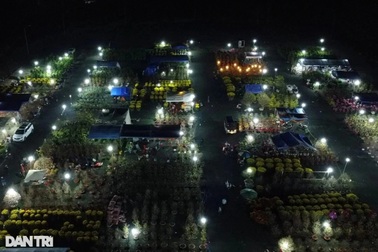 Tiểu thương bán hoa Tết: "Sau giao thừa chúng tôi mới về nhà"