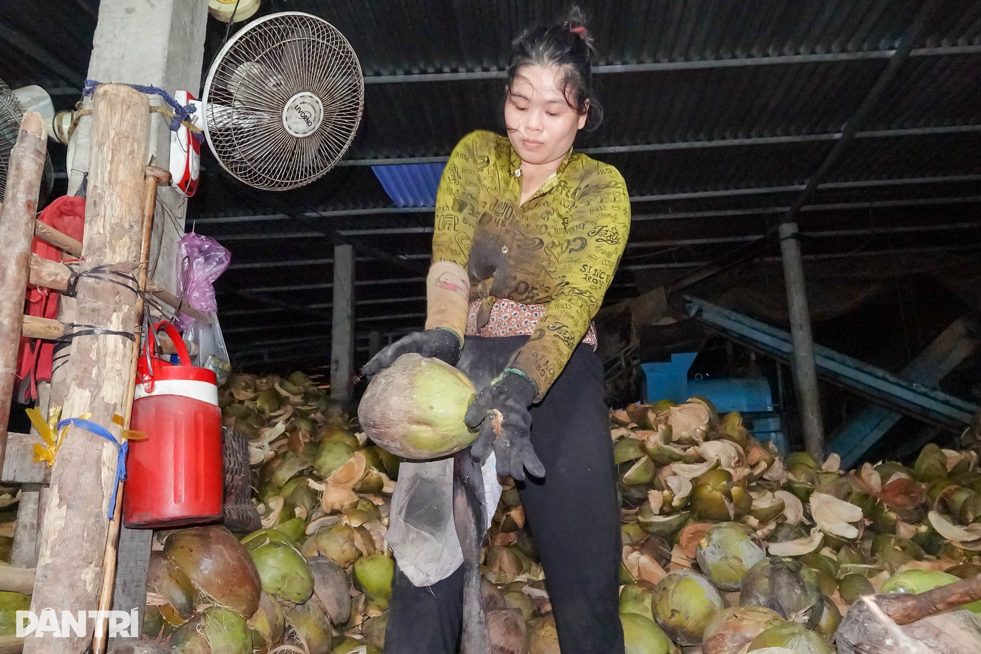 Người phụ nữ lột dừa tươi nhanh như máy, kiếm nửa triệu đồng mỗi ngày - 1