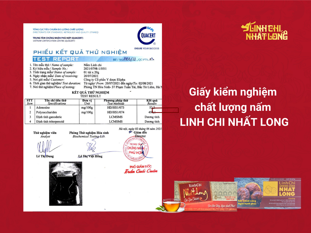 Hỗ trợ giảm huyết áp, đường huyết với trà Linh Chi Nhất Long - 3 Hỗ trợ giảm huyết áp, đường huyết với trà Linh Chi Nhất Long - 3