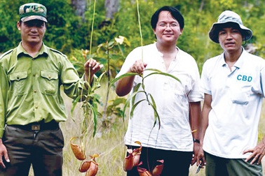 Sự thật về cây ăn thịt biến mất *