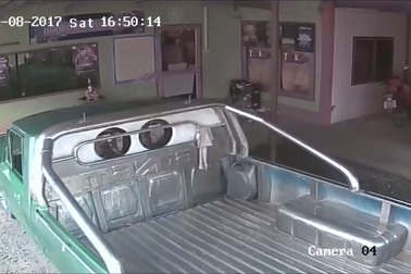 Kinh hoàng cảnh rắn đột nhập vào quán Internet và tấn công khách