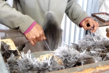 Câu chuyện đau lòng đằng sau những chiếc túi tiền tỉ xa xỉ