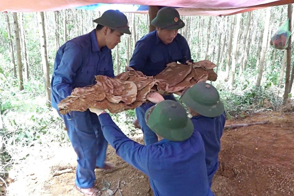 Đã phát hiện 11 bộ hài cốt liệt sỹ trong rừng tràm - 1 Đã phát hiện 11 bộ hài cốt liệt sỹ trong rừng tràm - 1