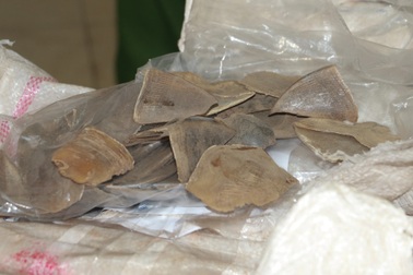 Hầm bí mật dưới rơ-moóc và lô hàng trị giá 10 tỷ đồng