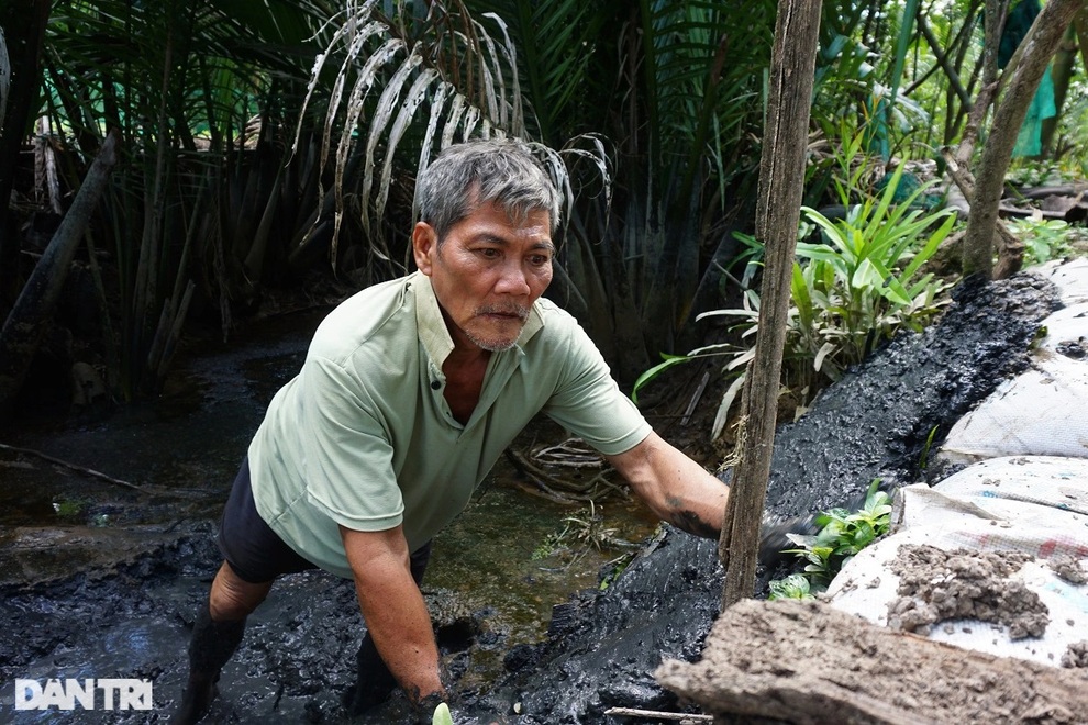 Cha tù tội, mẹ bỏ đi biệt xứ, 3 đứa bé cùng ông bà nội lay lắt đói khổ - 2 Cha tù tội, mẹ bỏ đi biệt xứ, 3 đứa bé cùng ông bà nội lay lắt đói khổ - 2