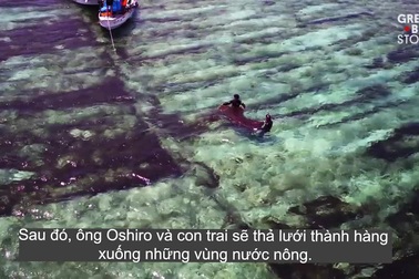 Khám phá cách trồng và thu hoạch loại tảo trị ung thư dưới đáy biển của người Nhật