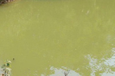 2 anh em ruột tử vong dưới ao nước của gia đình