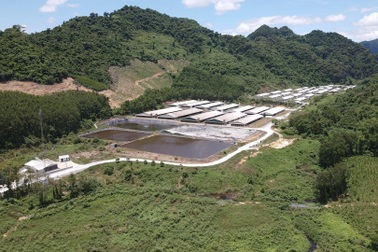 Quảng Bình: Trang trại lợn phát tán mùi hôi, dân phải đeo khẩu trang đi ngủ