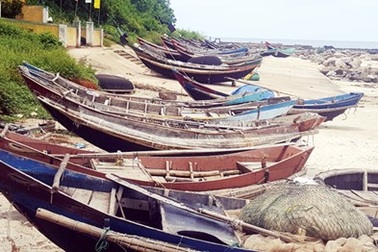 Đổi nghề, nhớ biển
