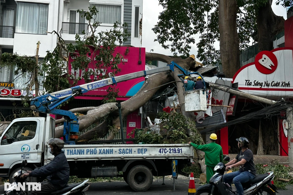 Cành cây đa cổ thụ đè sập nhà, một cô gái gãy tay - 4 Cành cây đa cổ thụ đè sập nhà, một cô gái gãy tay - 4