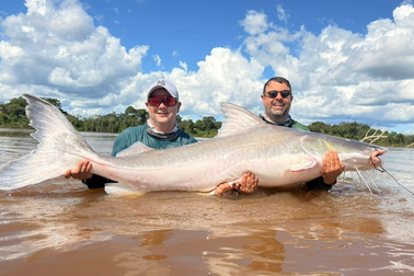 Brazil: Câu trúng cá trê "thủy quái" dài 2m nặng 100kg nhưng không được ăn