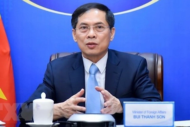 Bộ Chính trị phê bình nghiêm khắc Bộ trưởng Ngoại giao Bùi Thanh Sơn