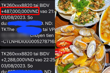 Chuyển khoản nhầm 500 triệu đồng tiền ăn ốc: Làm gì khi bỗng dưng có tiền?