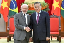 Tuyên bố chung Việt Nam - Brazil