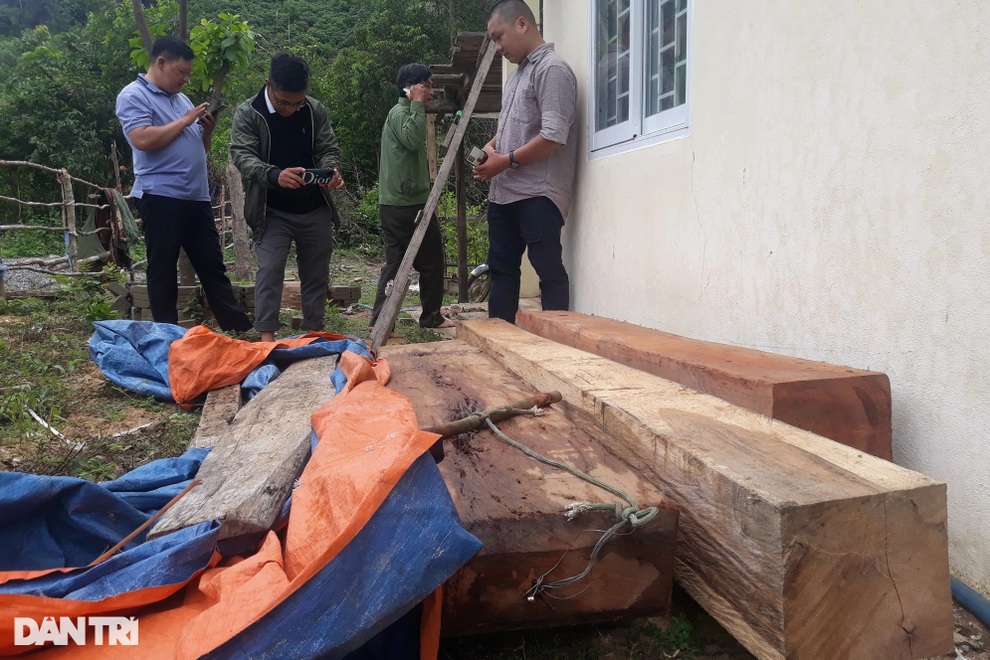 Lợi dụng dịch Covid-19, dân chiếm đất rừng để trồng cây, khai thác gỗ lậu - 3 Lợi dụng dịch Covid-19, dân chiếm đất rừng để trồng cây, khai thác gỗ lậu - 3