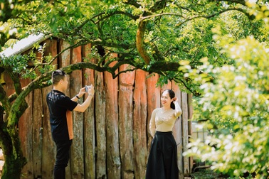 Khách đổ về Mộc Châu đúng mùa mận chín, nhiều nơi "cháy phòng" dịp 30/4