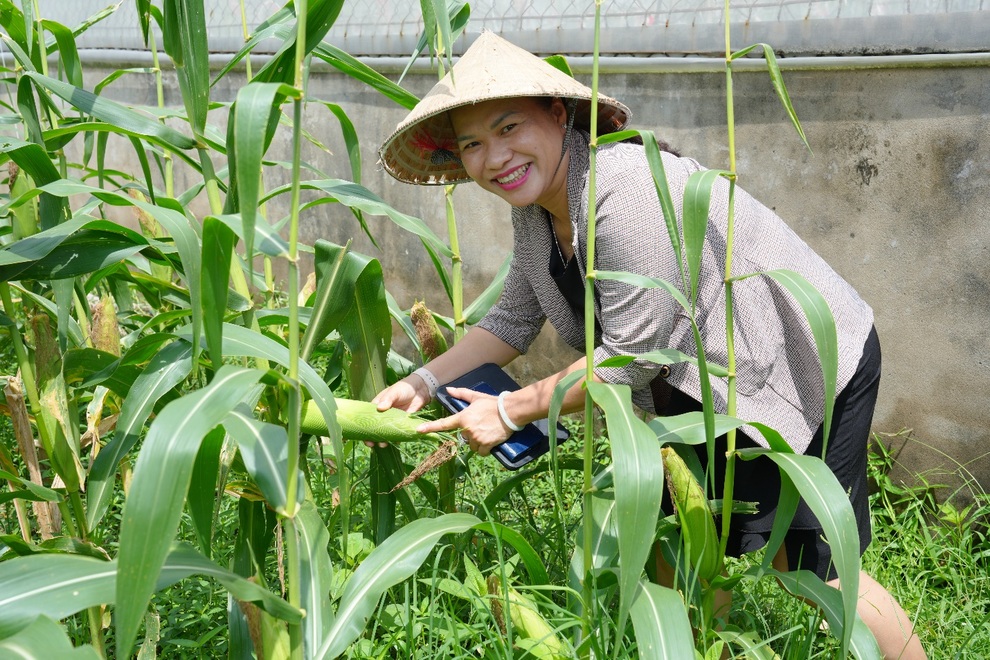 Đại học Trà Vinh trở thành điểm du lịch mới ở miền Tây - 1 Đại học Trà Vinh trở thành điểm du lịch mới ở miền Tây - 1